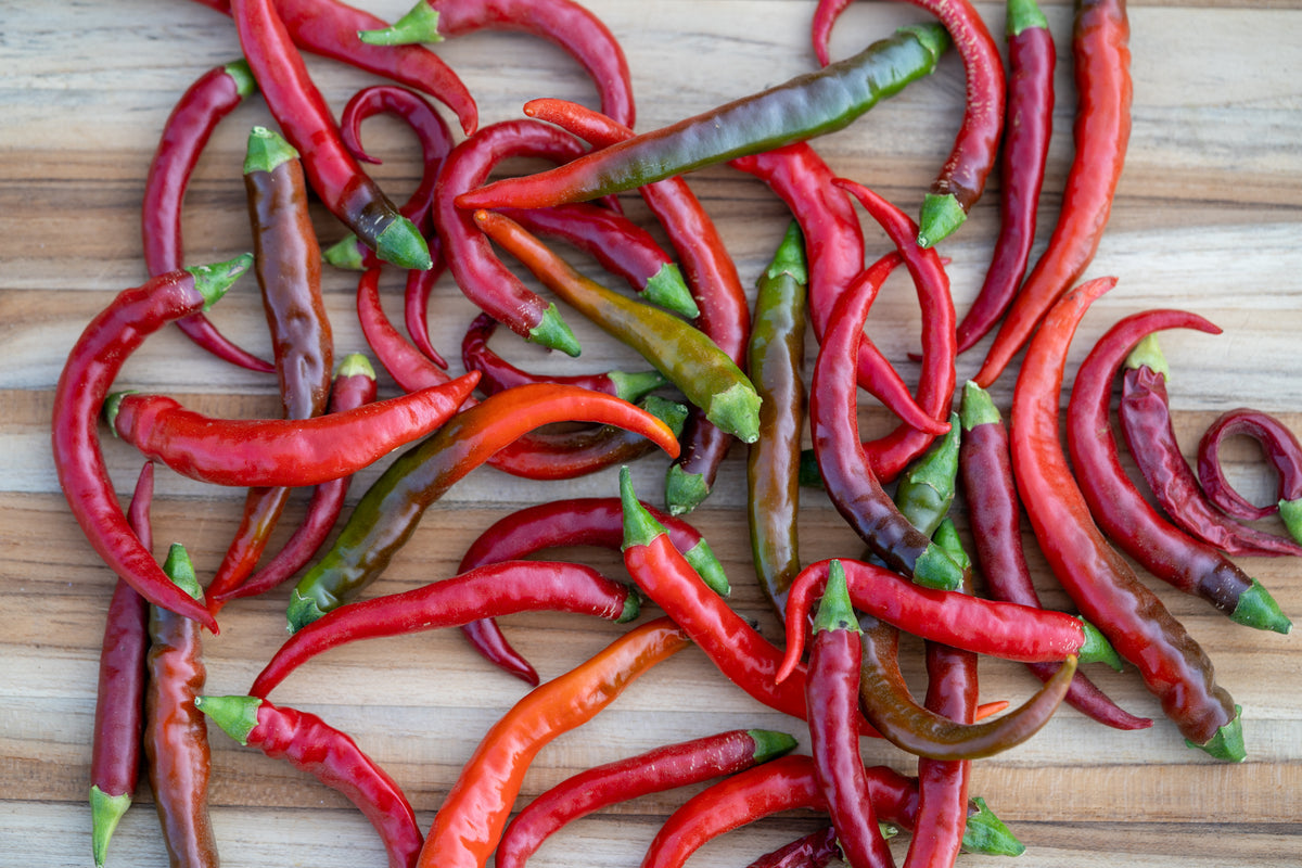 Peppers Kit: Grow Your Own Flavorful Peppers!