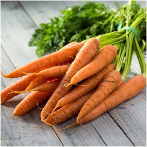 Carrots Kit: Grow Your Own Crunchy and Sweet Carrots!